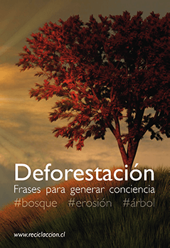 deforestacion_banner_def-1 - Reciclacción